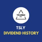 TSLY Dividend History